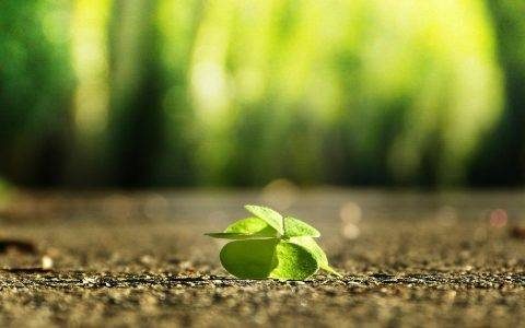 老米CPS：不怕缓慢，就怕中断
