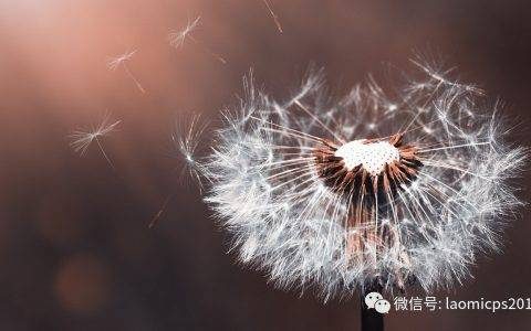 老米CPS：微信商品搜索，只是给京东壮壮声势，而已！