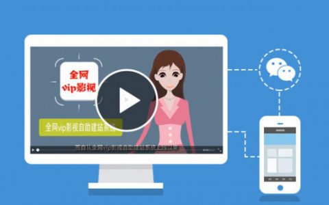 全网VIP 影视项目详细解析