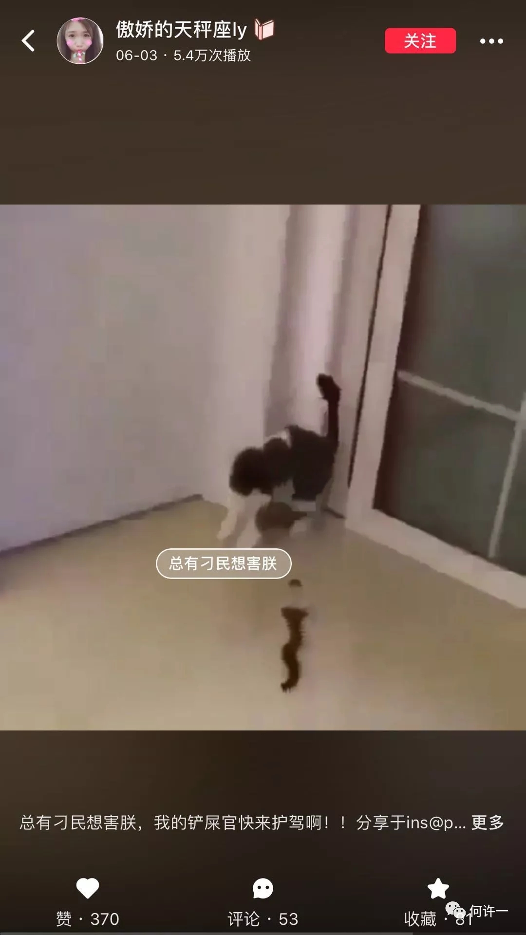 【淘客必看】小红书APP精准引流，从注册到引流一步一步带你实操！