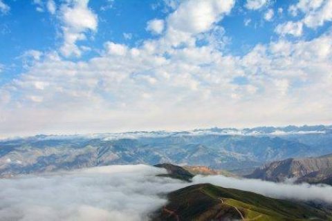 老米CPS：多重变现