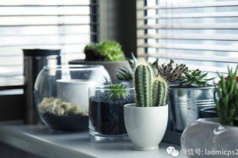 老米CPS：给个理由