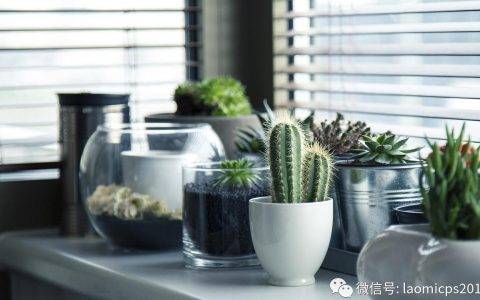 老米CPS：给个理由