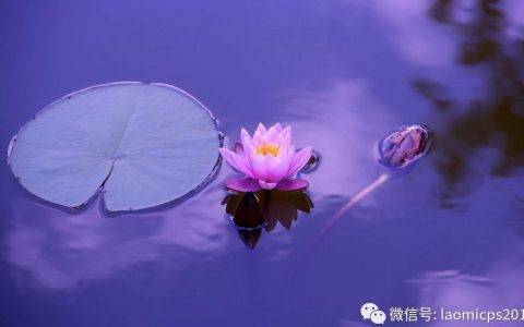 老米CPS：小而美