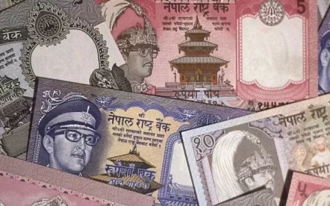 为什么你发的抖音没人看？你需要的短视频投放攻略！