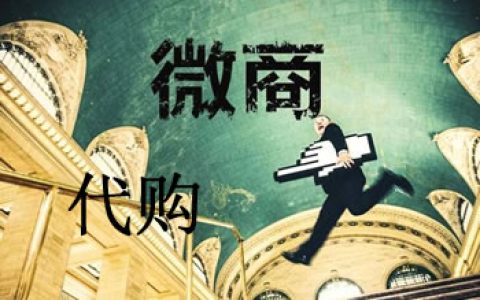 首部《电商法》实施：微商、代购被纳入监管