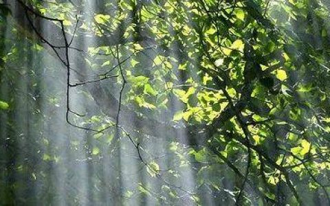 老米CPS:【读经典，干淘客】-《道德经》系列五：守中