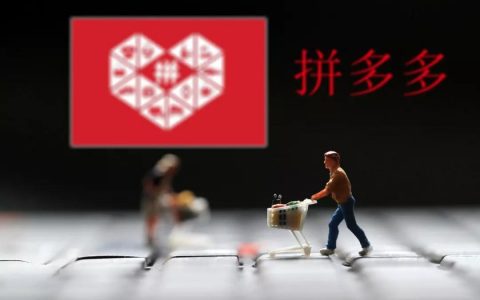 干货！有人做拼多多月入30万！
