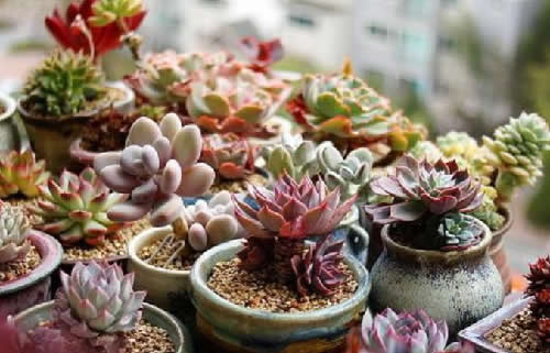 淘客如何通过线下商场小摊获取精准流量？
