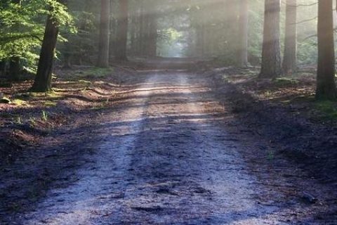 抖音淘客之路，路漫漫其修远