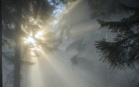 老米CPS：撸了，倒了。