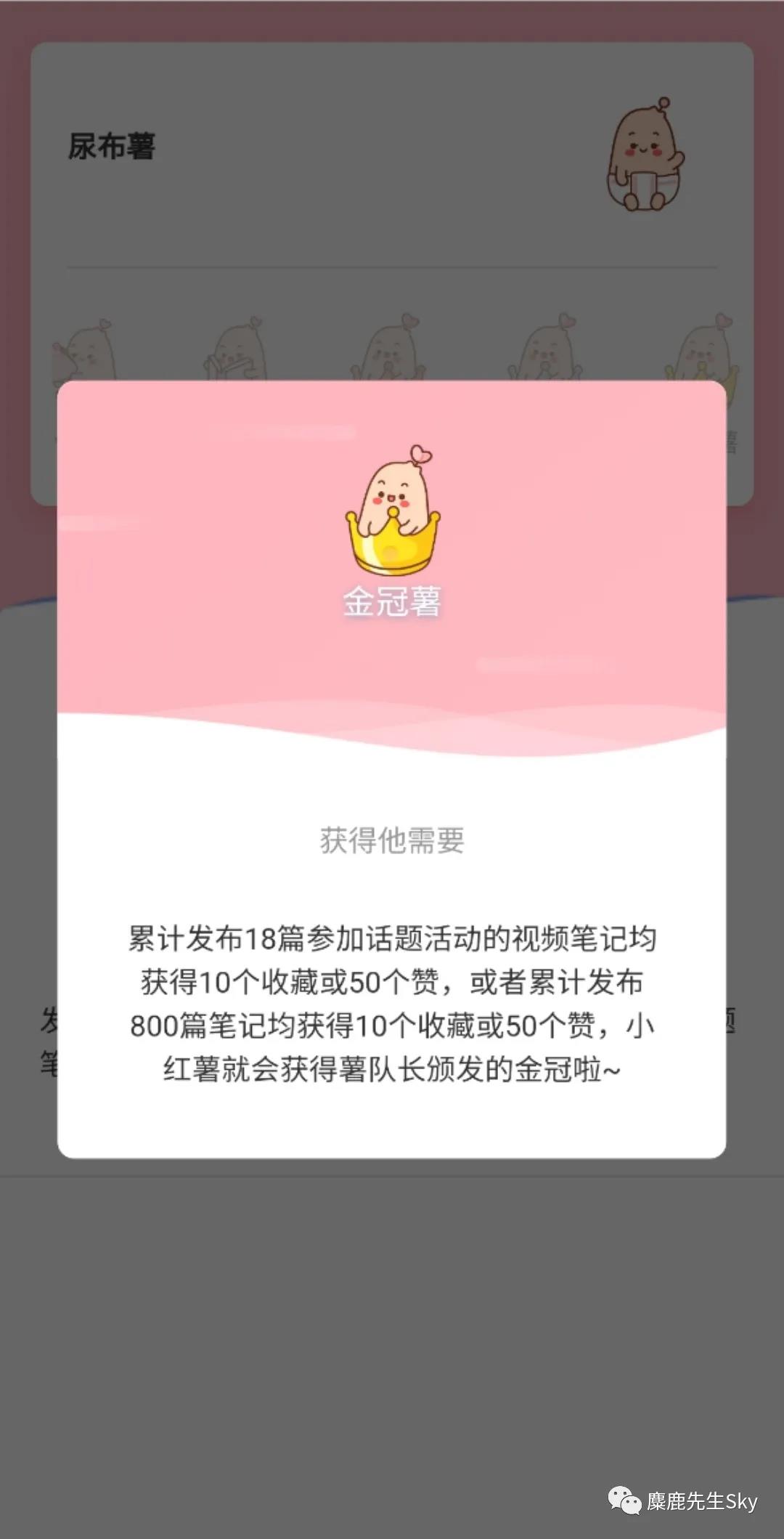 关于小红书养号的技巧已经都在这里了