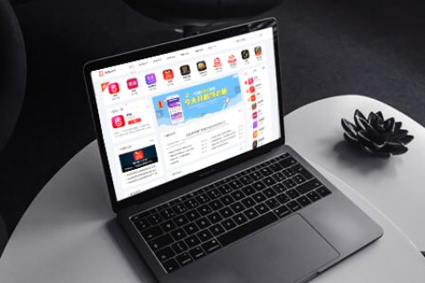 淘客APP网站上线