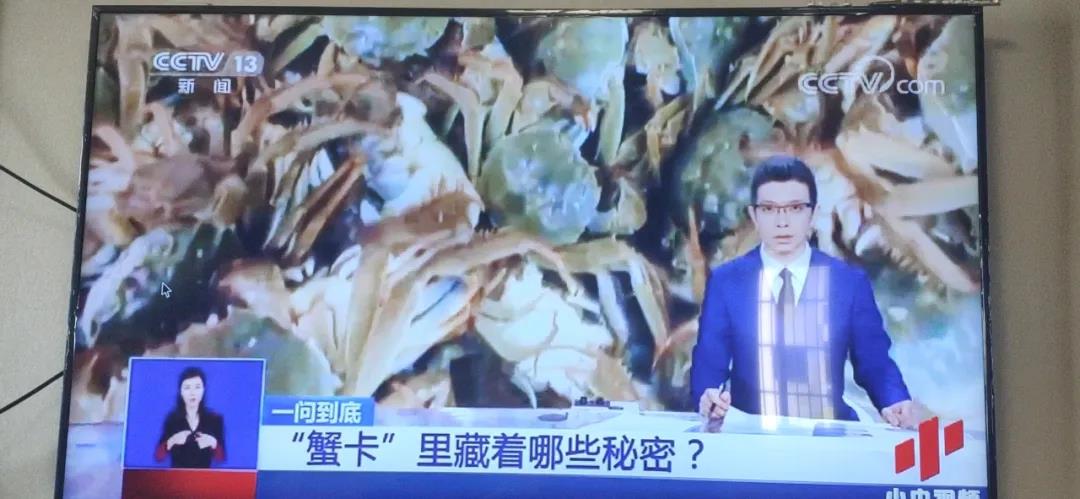 一天赚1000万+的杀手级淘宝客是怎样炼成的？