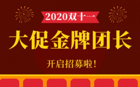 首届双11大促金牌团长开启招募！