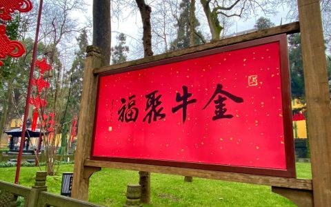 如何利用淘礼金实现月入佣金3000万+
