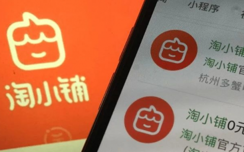 淘小铺倒下了