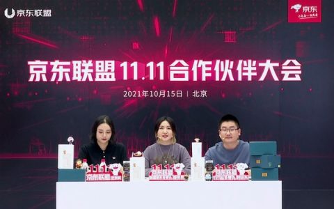 2021年京东联盟双11营销攻略，京东双11玩法攻略大揭秘！