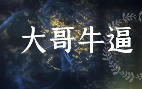 怎么找到大哥带你赚钱，带你装逼？