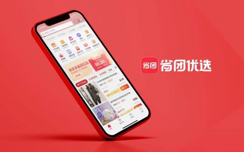 4个月裂变百万用户，单日GMV破千万的多多项目怎么玩！
