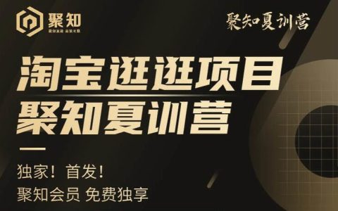 聚知夏训营—淘宝逛逛项目营