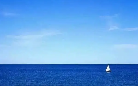 开始入局抖音全新蓝海赛道！