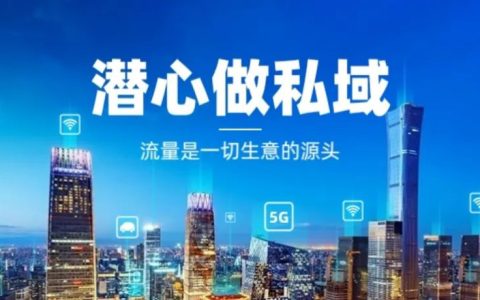 潜心做私域的状态