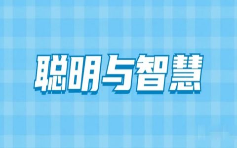 聪明与智慧