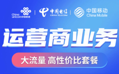 蓝海项目“运营商号卡业务”分享