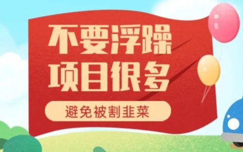 不要浮躁！胡乱参加项目就是被割韭菜