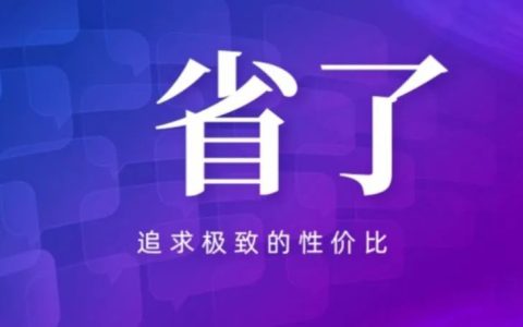 生活中追求极致性价比的小技巧