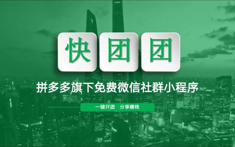 快团团怎么入局，怎么赚钱，适合我么？(老严)