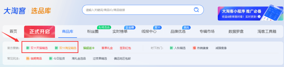 【双11】会场推广攻略，大淘客全程赋能，助您收益倍增！