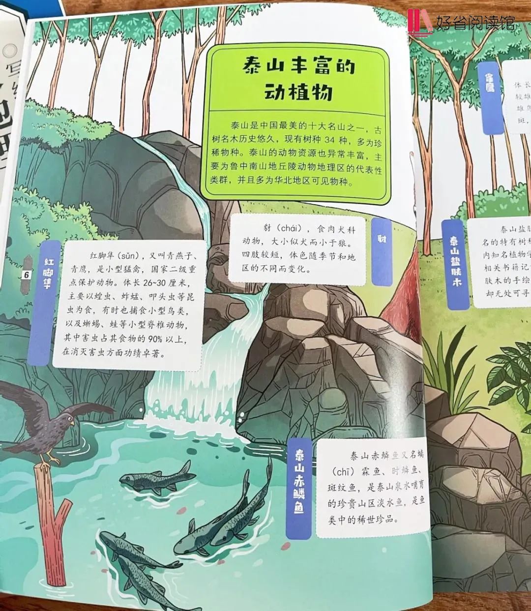 好省阅读馆·第一期福利图书震撼来袭！