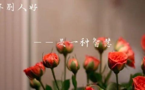 什么是TM高情商？（狗哥）