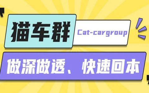 猫车群如何做深做透快速回本？