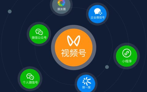 盘点去年在视频号上赚到钱的团队和项目