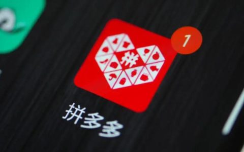当天回本月入几十万拼多多评价粉