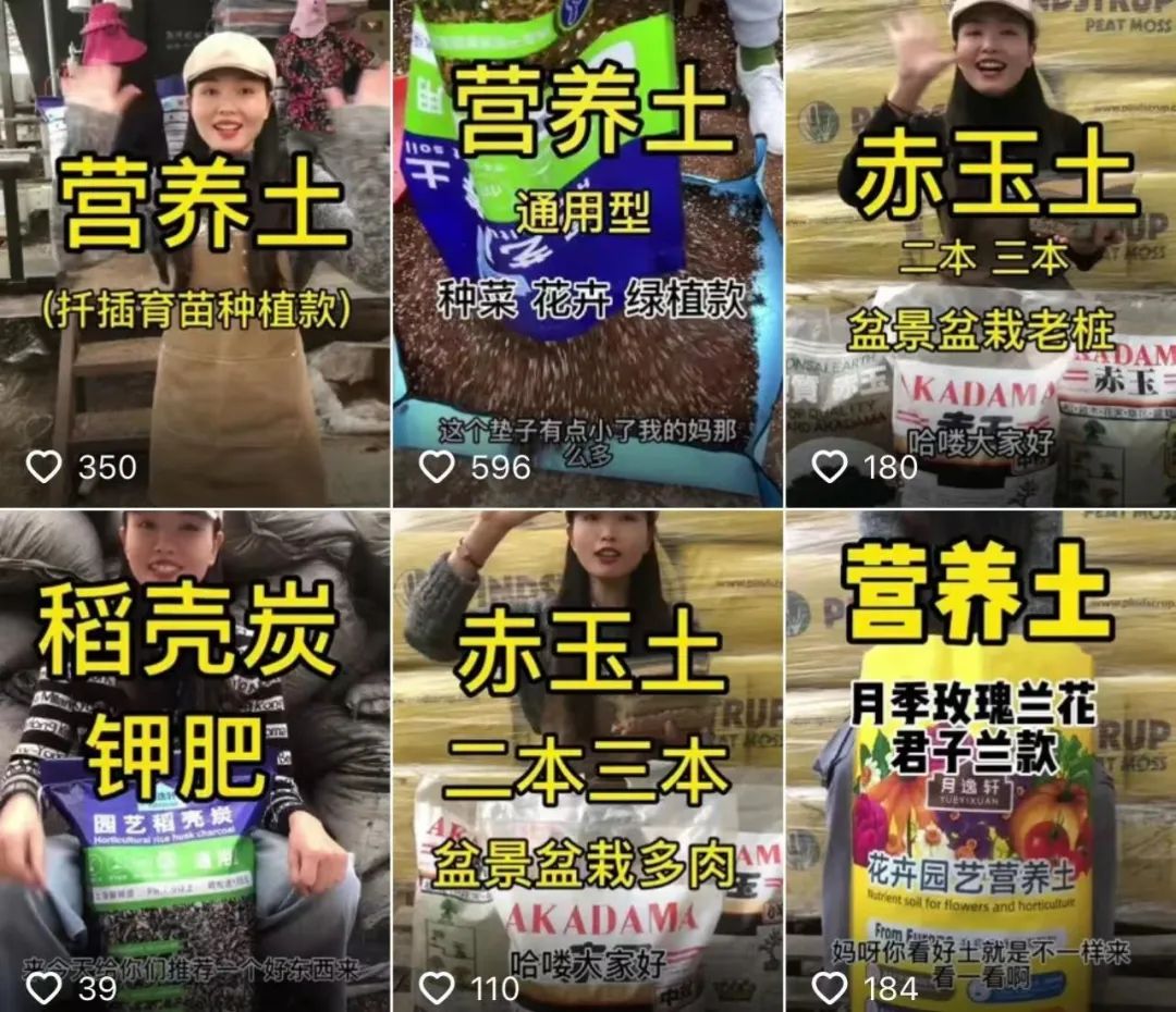 我在抖音卖牛粪，年入百万