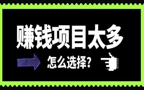 赚钱项目太多了，该怎么选择？