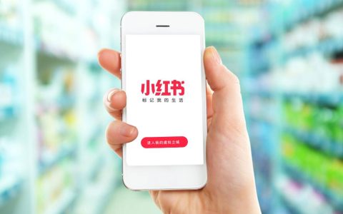 如何从0到1，做到月纯利30W+，玩转小红书店铺无货源？