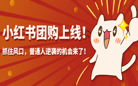 小红书团购上线！普通人的掘金机会，抓住风口火速逆袭！