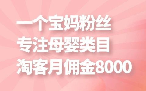 一个宝妈粉丝做母婴类目淘客，淘客月佣金8000多，怎么做的?