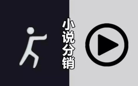 小说分销的像素级对标案例