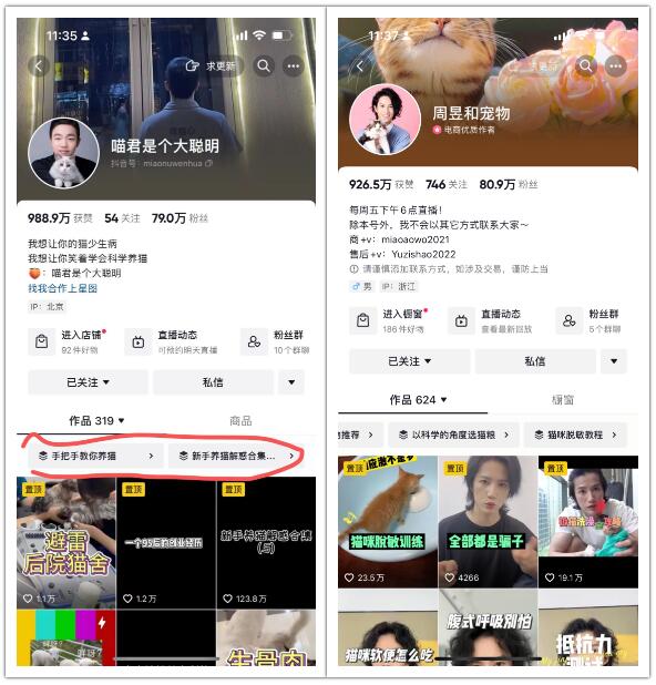 宠物赛道快速入局，一单收入四位数，单月轻松破2w