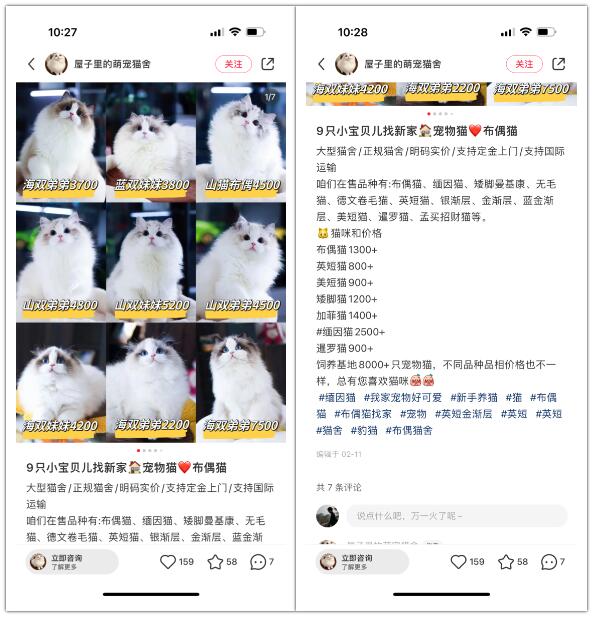宠物赛道快速入局，一单收入四位数，单月轻松破2w