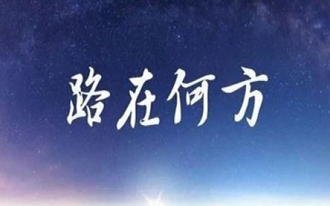 深度剖析淘客的现状与未来