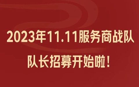 2023年11.11服务商战队队长招募开始啦，速速报名赢取奖励~