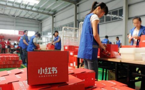 备战双11：小红书涨粉实战教学