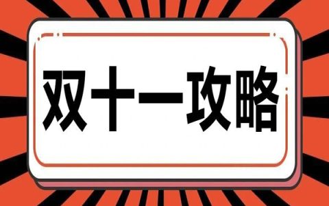 创造百倍收益，借力双11引爆收入点！